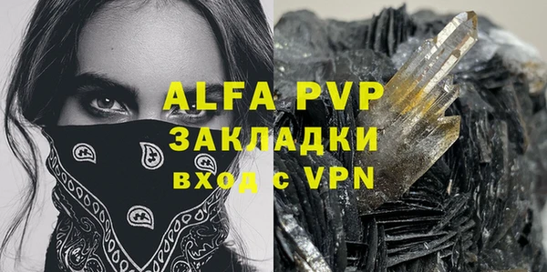 ГАЛЛЮЦИНОГЕННЫЕ ГРИБЫ Елабуга