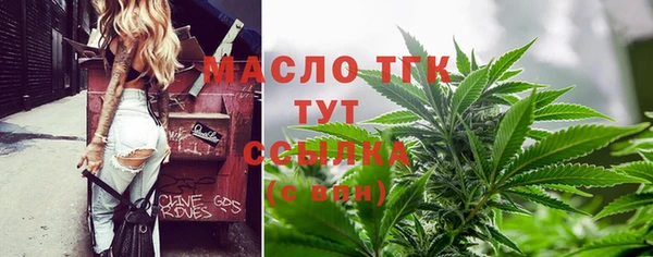 ГАЛЛЮЦИНОГЕННЫЕ ГРИБЫ Елабуга