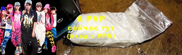 ГАЛЛЮЦИНОГЕННЫЕ ГРИБЫ Елабуга