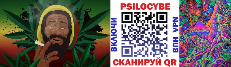 Купить где  Сенгилей  Псилоцибиновые грибы Psilocybine cubensis 
