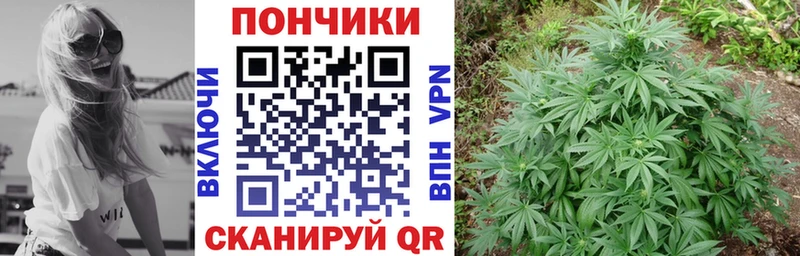 Бошки марихуана семена  Купить закладки  Сенгилей 